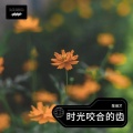 陈保才 - 时光咬合的齿