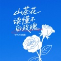 零几年的傲 - 山茶花读不懂白玫瑰