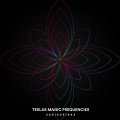 Tesalas Magic Frequencies: 369 639 963 Hertz