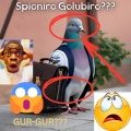 Silvia - Spioniro Golubiro 8??? -GUR GUR hmmmm??