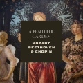 Academy of St Martin in the Fields、Sir Neville Marriner - Mozart: Cassation in B-Flat Major, K. 99: II. Allegro molto
