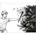 Kindkid - Lord of the Flies