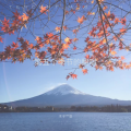 第五个季节 - 最天使
