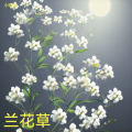 小曙光 - 水墨雪
