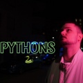 Lavouz24 - Pythons