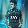 Never Say Goodbay