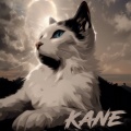 Calibrated Audio - Kane