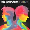 Big Gigantic、Ganja White Night、DENM - Journey