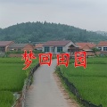 王庆富 - 田园思忆曲