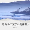 翊先生 - 马马马C波