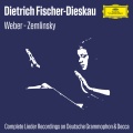 dietrich fischer-dieskau、Gerald Moore - Wolf: Spanisches Liederbuch, Pt. 2: No. 7, Wer sein holdes Lieb verloren