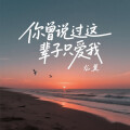 龙翼 - 你曾说过这辈子只爱我