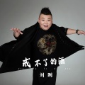 刘刚 - 戒不了的酒