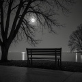 美羊羊 - 我在夜里想你