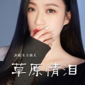 东方晴儿 - 草原情泪