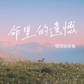恰恰恰恰恰 - 命里的遗憾