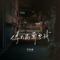 苏星婕 - 你不再需要我