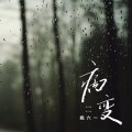 BINGBIAN病变