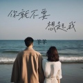 羊羊 - 你就不要想起我