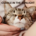 Cuddle in the Sunset