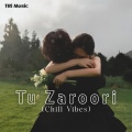 Tri Music、Sharib Toshi、Sunidhi Chauhan、Shaarib Sabri - Tu Zaroori (Chill Vibes)