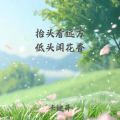卡迪哥 - 抬头看远方 低头闻花香