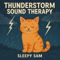 Thunderstorm Sound Therapy