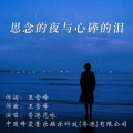 思念的夜与心碎的泪