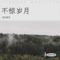 不惊岁月