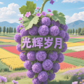周细荣 - 光辉岁月