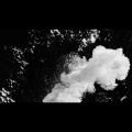 cord - ill-fated