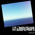 RZDK128 - 灵动的海鸥
