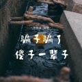 王佳音 - 骗子骗了傻子一辈子