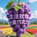 周细荣 - 生活就像一盒巧克力