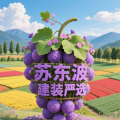 周细荣 - 苏东波建装严选