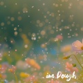 im Dough - Glimpses of the Past