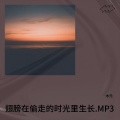 木元 - 翅膀在偷走的时光里生长.MP3