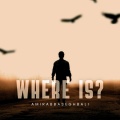 Amirabbas eghbali - Where Is?