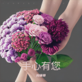 周细荣 - 手心有您