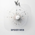 Spider Web