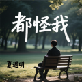 夏遇明 - 都怪我