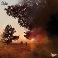 Stephan - Friends