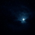 12AM Coastal:  Natural Light