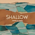 Shallow (Instrumental)