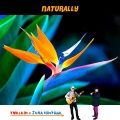Yvalain、Juha Hintikka - Peaceful