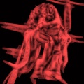 JUUGBOIIXANTANA、Squillo - SHOPLIFT