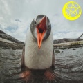 eclipse. AF *mix&masterFORTE_____ =) (Explicit)