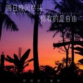 落日晚风尽头 你有的是自由