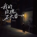 张艺迈 - 我的玫瑰不太香