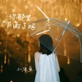 小泡鱼 - 你那里下雨了吗